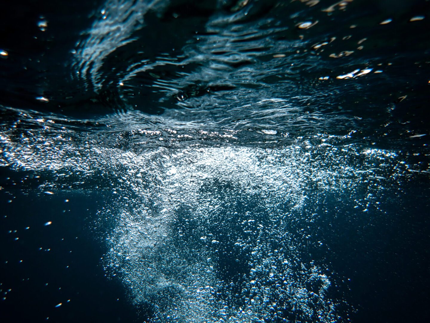 Bubbles rising in the sea